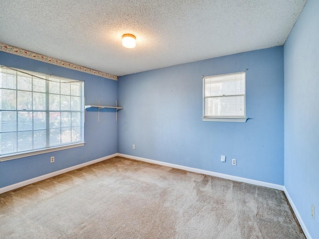 spare room with carpet floors, a healthy amount of sunlight, and a textured ceiling