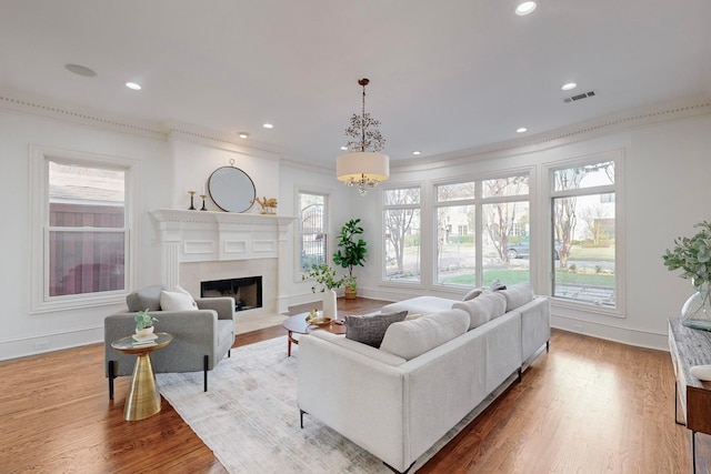 living room featuring a wealth of natural light, hardwood / wood-style floors, and a premium fireplace