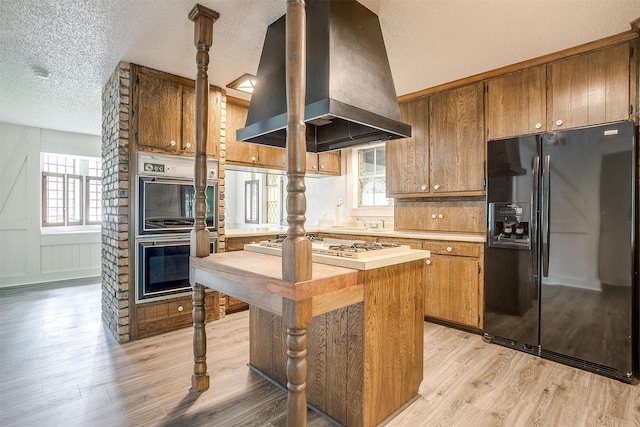 kitchen featuring island range hood, light hardwood / wood-style flooring, plenty of natural light, and appliances with stainless steel finishes