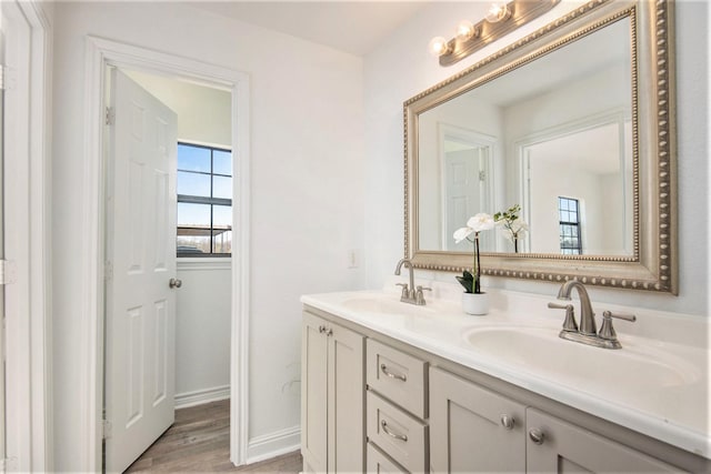 bathroom with vanity and wood-type flooring