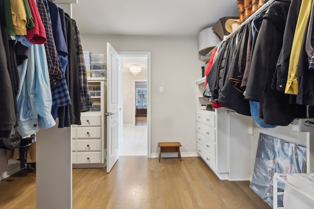 walk in closet featuring light wood-type flooring