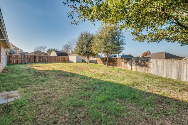 view of yard with a storage unit