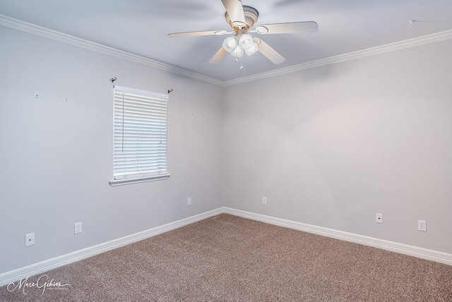 spare room featuring crown molding, carpet, and ceiling fan