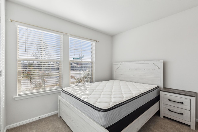 carpeted bedroom with multiple windows