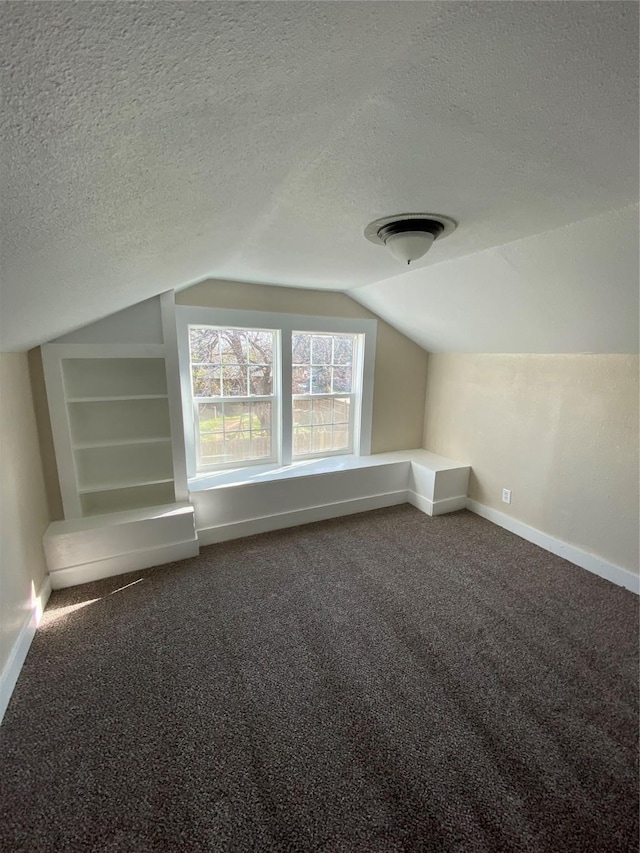 additional living space featuring a textured ceiling, carpet floors, built in shelves, and lofted ceiling