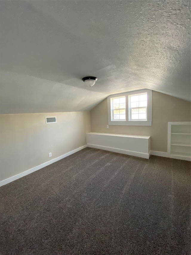 additional living space with vaulted ceiling, carpet floors, and a textured ceiling