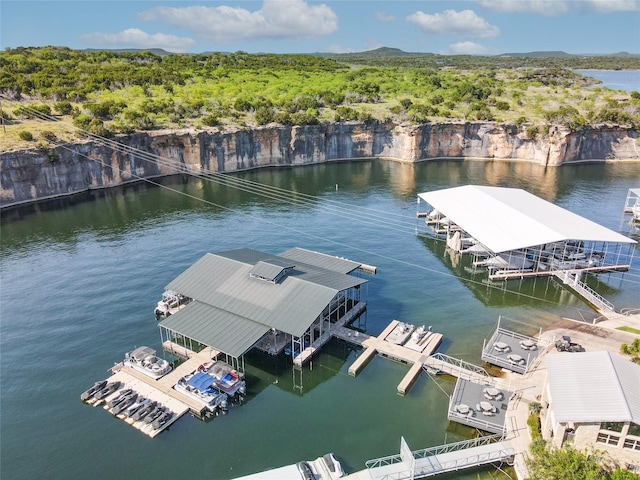 dock area with a water view