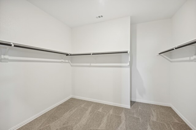 spacious closet with light colored carpet