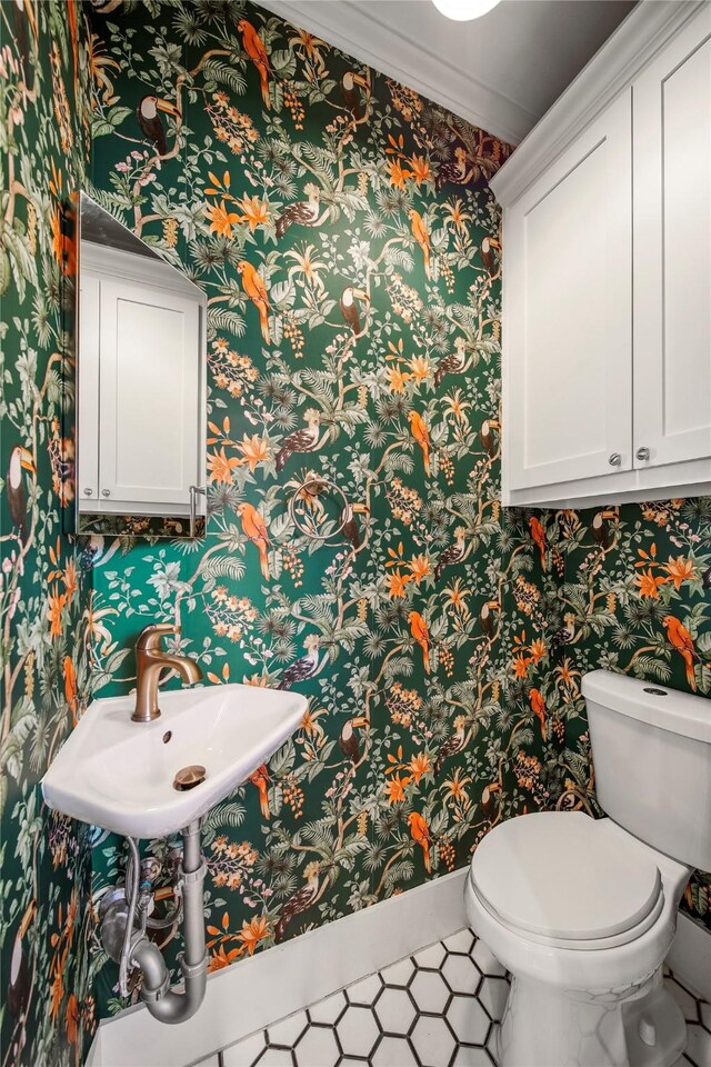 bathroom featuring sink, toilet, and crown molding