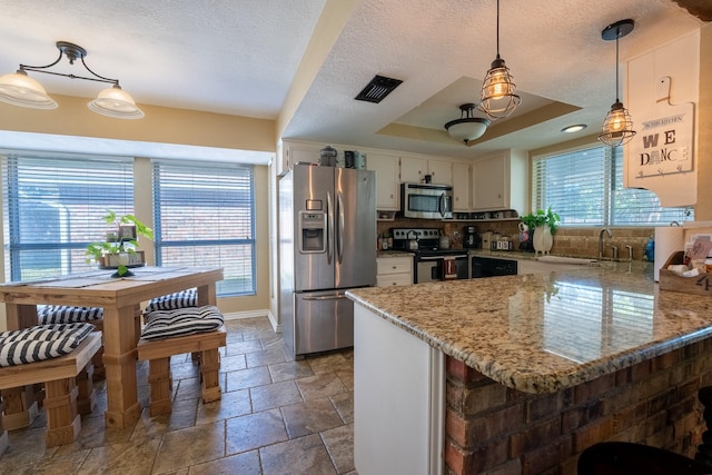 kitchen with sink, decorative light fixtures, a tray ceiling, stainless steel appliances, and backsplash