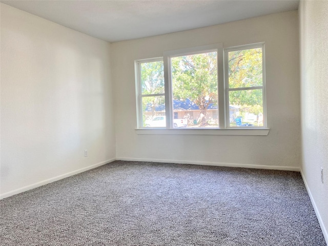 spare room featuring carpet flooring