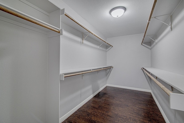 spacious closet featuring dark wood-type flooring