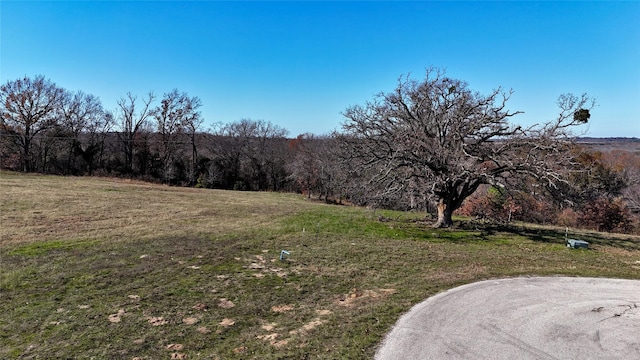 LOT262 High Point Ct, Athens TX, 75752 land for sale