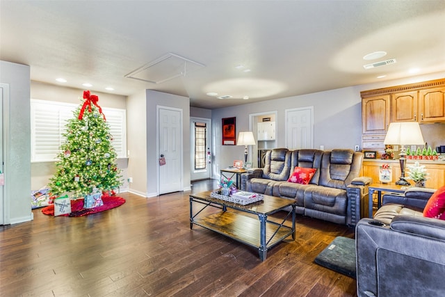 living room featuring dark hardwood / wood-style flooring