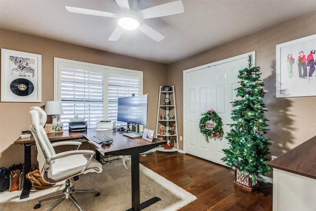 office space with dark hardwood / wood-style floors and ceiling fan