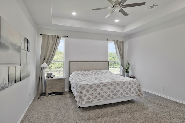 bedroom featuring multiple windows, a tray ceiling, and carpet floors