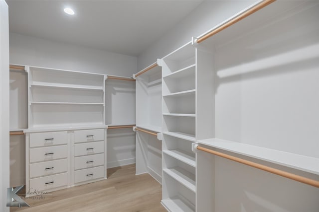 spacious closet featuring light hardwood / wood-style flooring