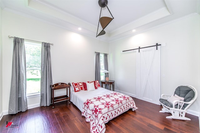 bedroom featuring multiple windows, a tray ceiling, dark hardwood / wood-style flooring, and a barn door