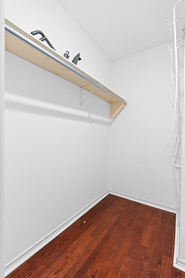 spacious closet featuring wood-type flooring