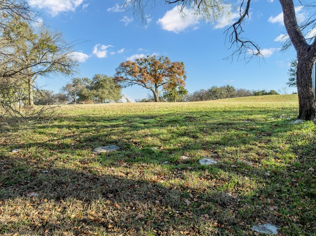 view of yard featuring a rural view