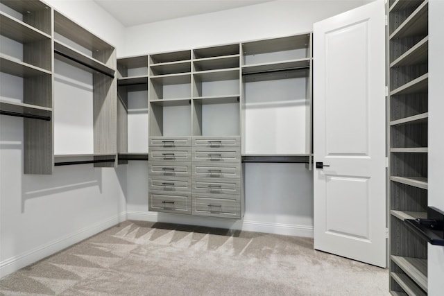 spacious closet featuring light carpet