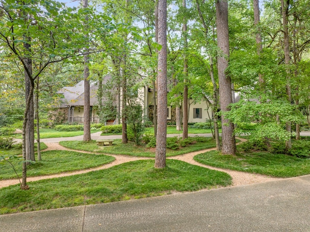 view of community featuring a yard