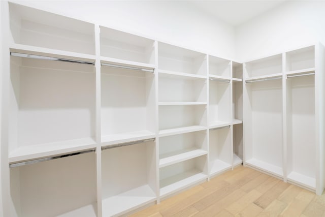 spacious closet with hardwood / wood-style flooring