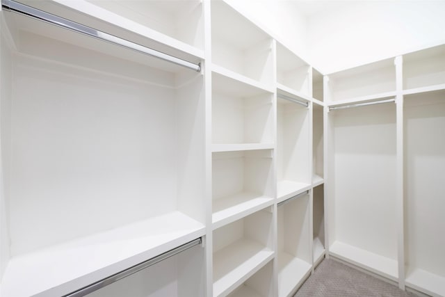 walk in closet with light colored carpet