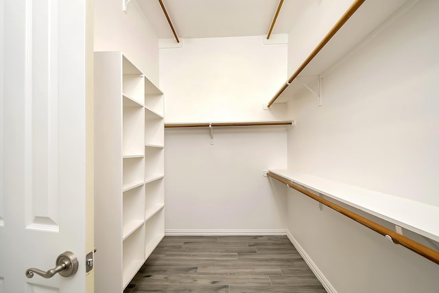 walk in closet featuring dark wood-type flooring