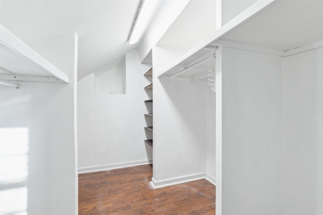 spacious closet with dark hardwood / wood-style floors