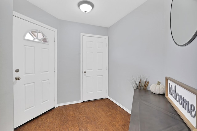 entrance foyer featuring wood-type flooring