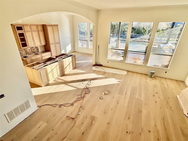 interior space featuring ornamental molding and light wood-type flooring