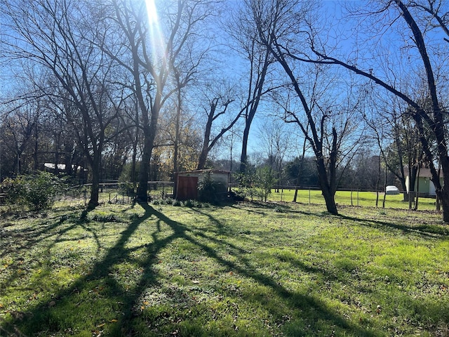 view of yard with a shed