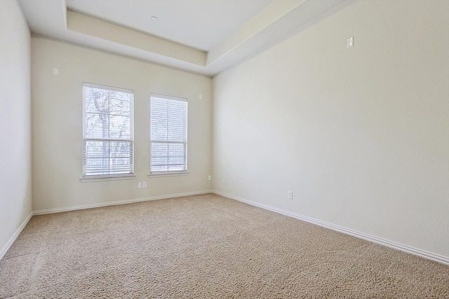 empty room featuring a raised ceiling and carpet