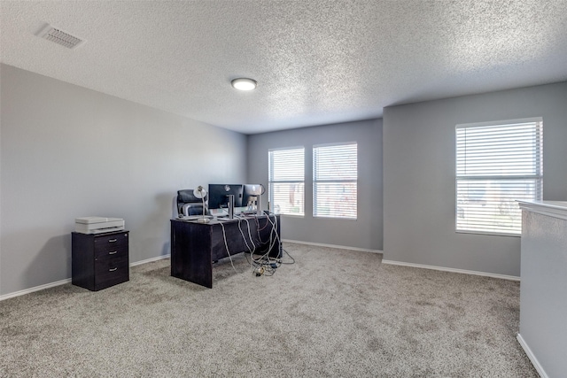 carpeted office space featuring a textured ceiling and a wealth of natural light