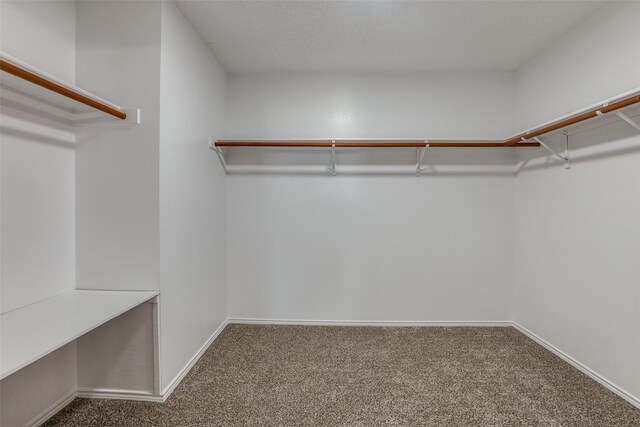 spacious closet with carpet