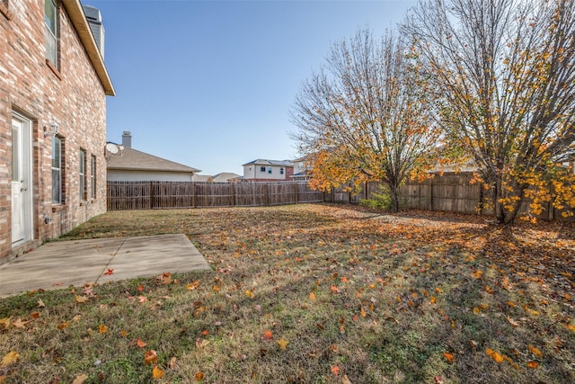 view of yard featuring a patio area