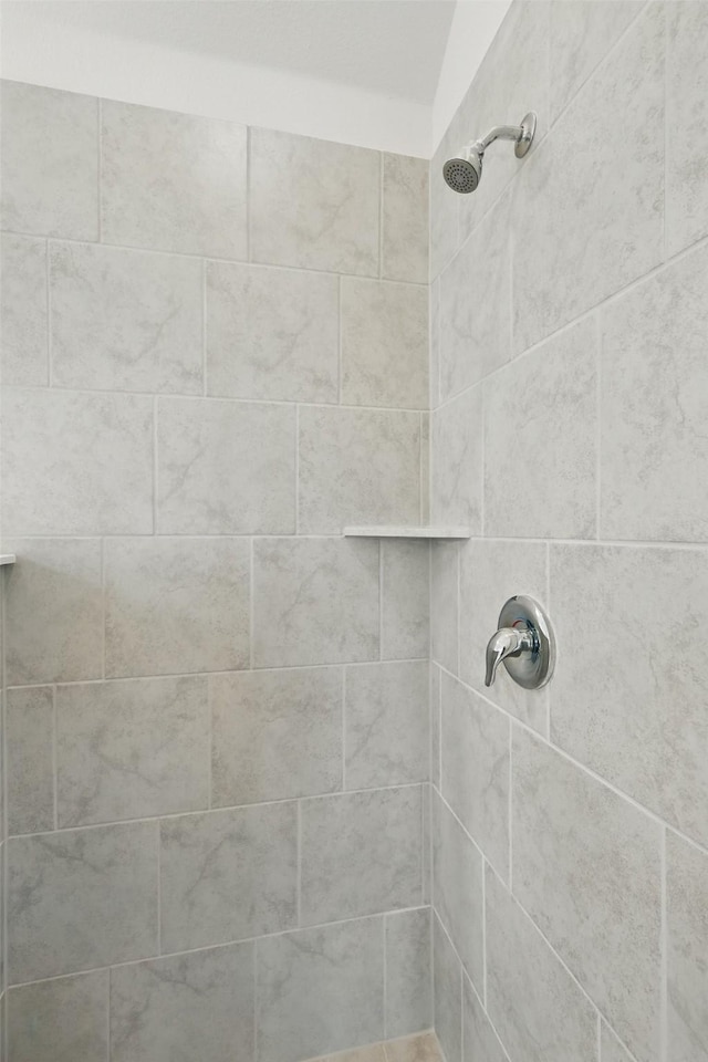 16213 Hidden Cove Dr, Celina, TX 75009 - full bathroom featuring a tile shower