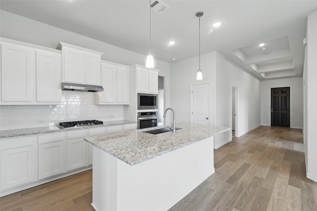 16213 Hidden Cove Dr, Celina, TX 75009 - kitchen with light wood-style floors, under cabinet range hood, a sink, backsplash, and stainless steel appliances