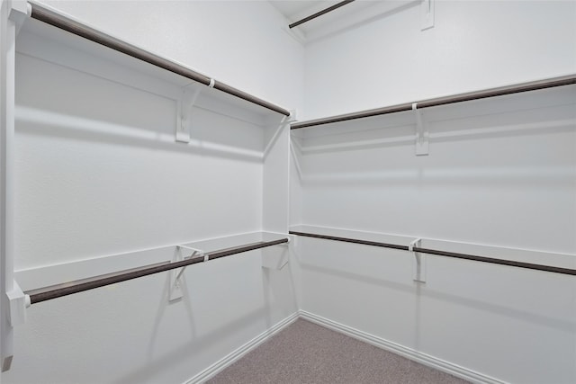16213 Hidden Cove Dr, Celina, TX 75009 - spacious closet with carpet