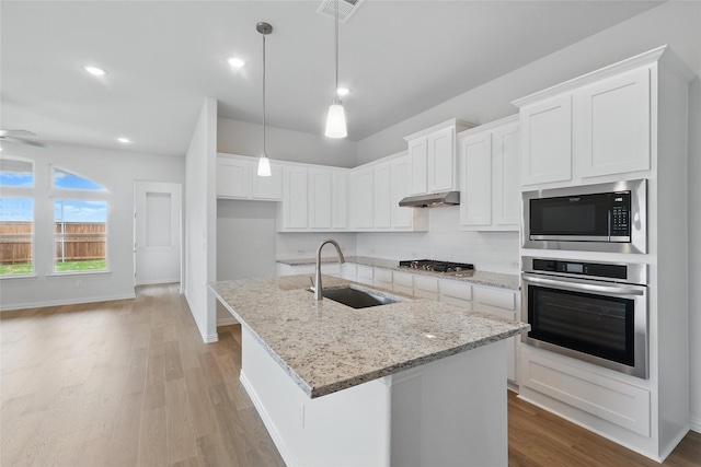 16213 Hidden Cove Dr, Celina, TX 75009 - kitchen with visible vents, appliances with stainless steel finishes, a sink, light wood-style floors, and under cabinet range hood