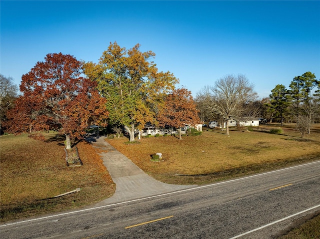 view of front facade with a front yard