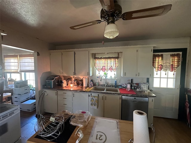 kitchen with dishwasher, dark wood-type flooring, sink, ceiling fan, and white cabinetry