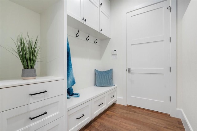 mudroom featuring hardwood / wood-style floors