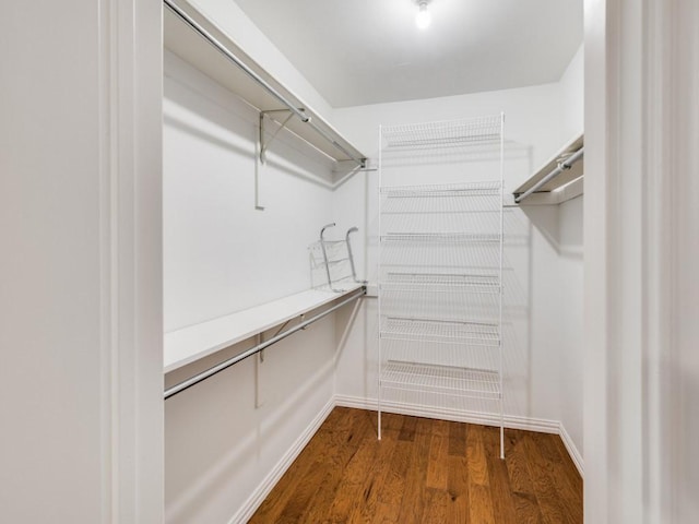 spacious closet with hardwood / wood-style floors