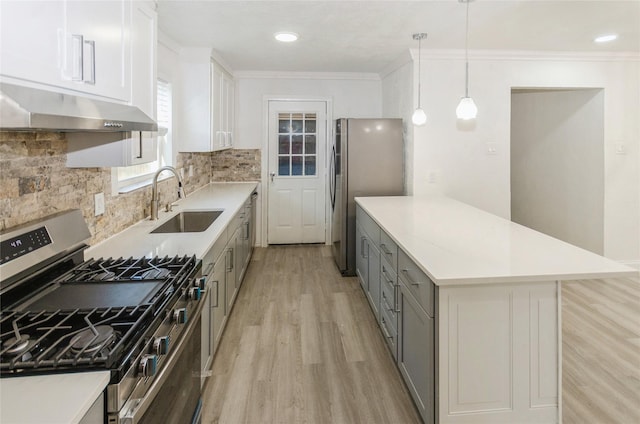 kitchen with light wood finished floors, ornamental molding, stainless steel appliances, under cabinet range hood, and a sink