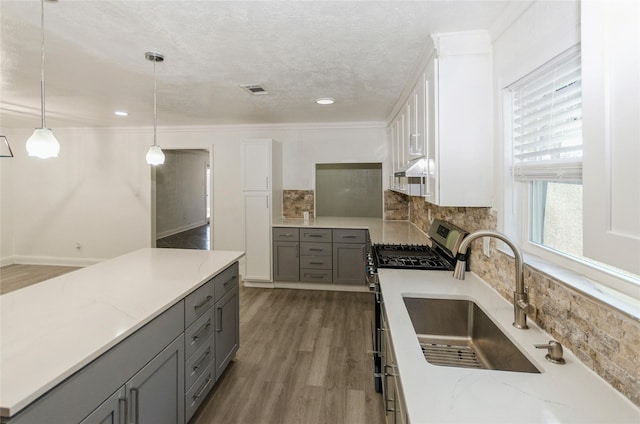 kitchen with gray cabinets, backsplash, a sink, wood finished floors, and gas range