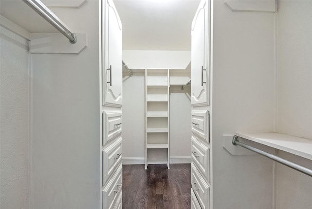 spacious closet featuring dark wood-type flooring