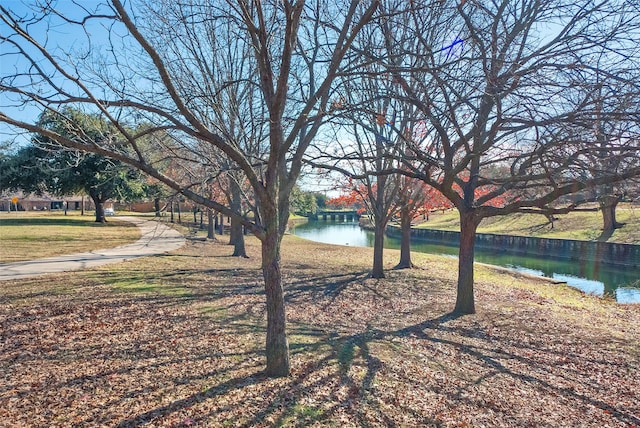 view of yard featuring a water view