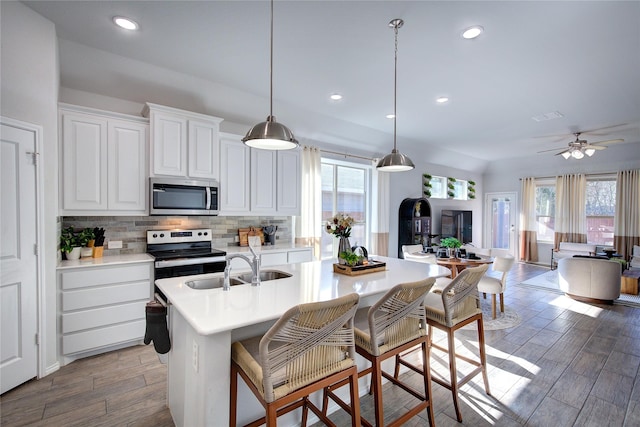 kitchen with light hardwood / wood-style floors, stainless steel appliances, and a wealth of natural light